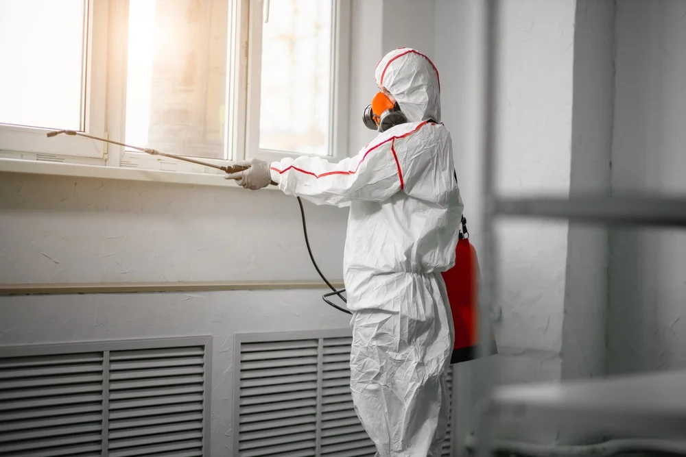 Professional mold remediation services in Heflin, AL
